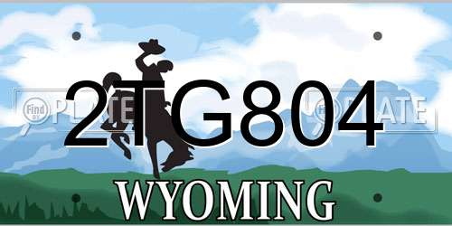 2TG804 Wyoming License Plate