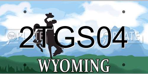 2TGS04 Wyoming License Plate