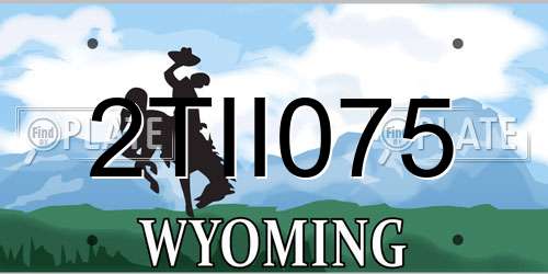 2TII075 Wyoming License Plate