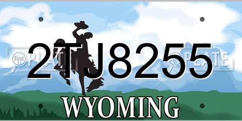 2TJ8255 Wyoming License Plate