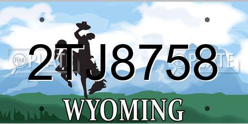 2TJ8758 Wyoming License Plate
