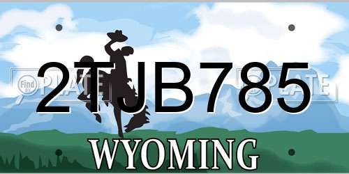 2TJB785 Wyoming License Plate