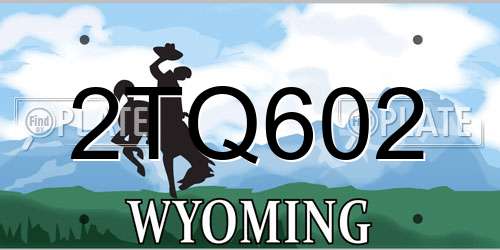 2TQ602 Wyoming License Plate