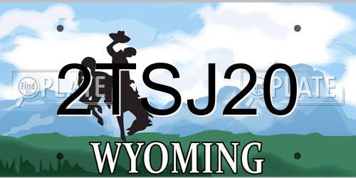 2TSJ20 Wyoming License Plate