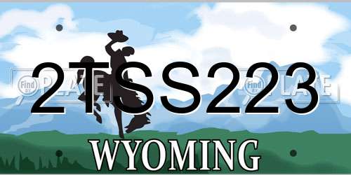 2TSS223 Wyoming License Plate