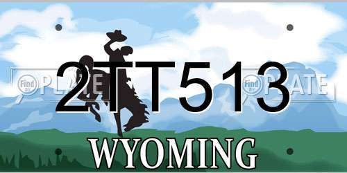 2TT513 Wyoming License Plate
