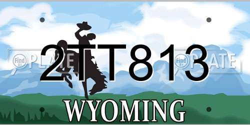 2TT813 Wyoming License Plate