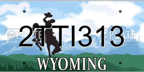 2TTI313 Wyoming License Plate