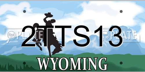 2TTS13 Wyoming License Plate