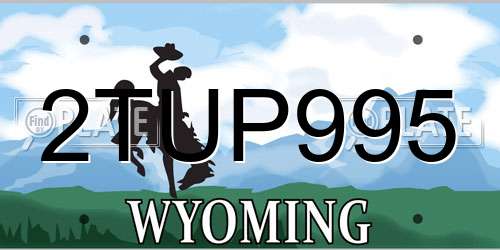 2TUP995 Wyoming License Plate