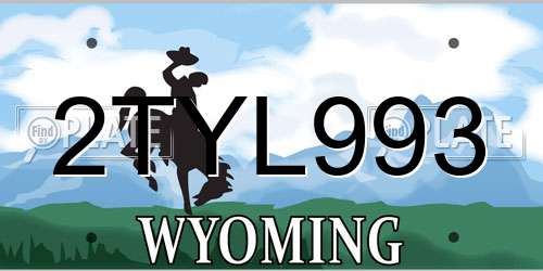 2TYL993 Wyoming License Plate