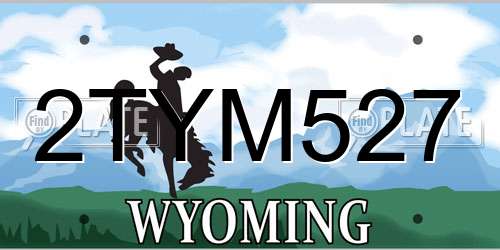 2TYM527 Wyoming License Plate