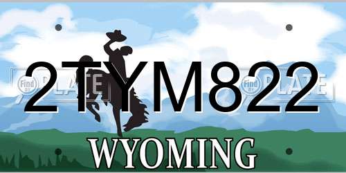 2TYM822 Wyoming License Plate