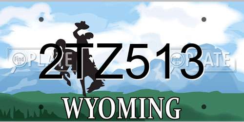 2TZ513 Wyoming License Plate