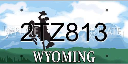 2TZ813 Wyoming License Plate