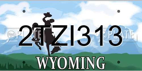 2TZI313 Wyoming License Plate