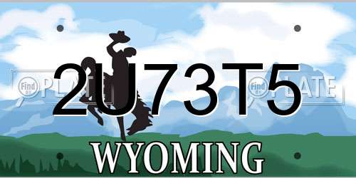 2U73T5 Wyoming License Plate