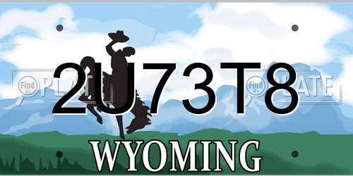 2U73T8 Wyoming License Plate