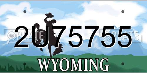 2U75755 Wyoming License Plate