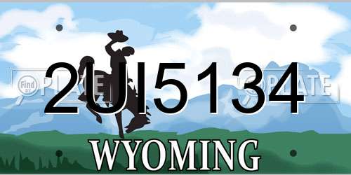 2UI5134 Wyoming License Plate