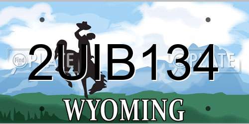 2UIB134 Wyoming License Plate