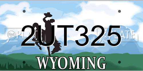 2UT325 Wyoming License Plate