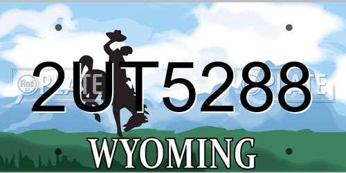 2UT5288 Wyoming License Plate