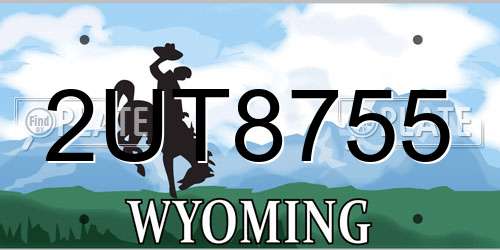 2UT8755 Wyoming License Plate