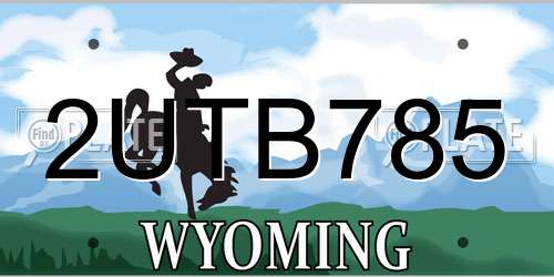 2UTB785 Wyoming License Plate