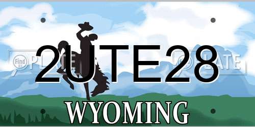 2UTE28 Wyoming License Plate