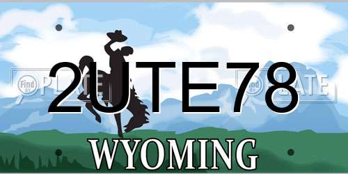 2UTE78 Wyoming License Plate
