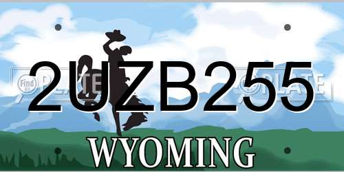 2UZB255 Wyoming License Plate