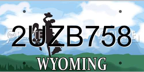 2UZB758 Wyoming License Plate