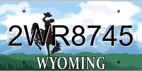 2WR8745 Wyoming License Plate