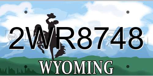 2WR8748 Wyoming License Plate