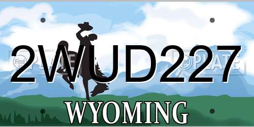 2WUD227 Wyoming License Plate