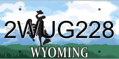 2WUG228 Wyoming License Plate