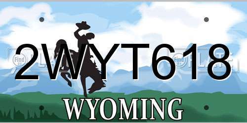 2WYT618 Wyoming License Plate