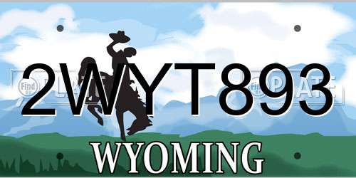 2WYT893 Wyoming License Plate