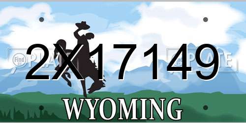 2X17149 Wyoming License Plate