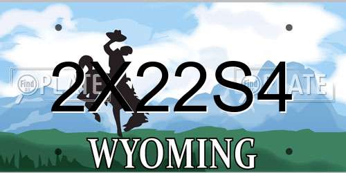 2X22S4 Wyoming License Plate