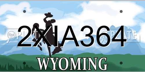2XIA364 Wyoming License Plate