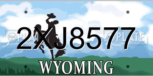 2XJ8577 Wyoming License Plate