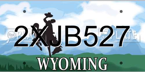 2XJB527 Wyoming License Plate