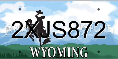 2XJS872 Wyoming License Plate