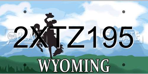 2XTZ195 Wyoming License Plate