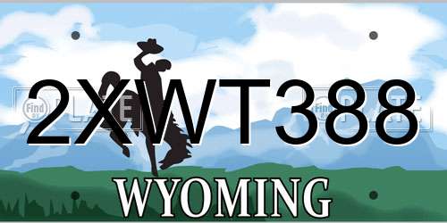 2XWT388 Wyoming License Plate