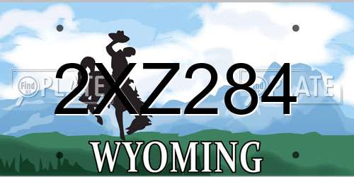 2XZ284 Wyoming License Plate