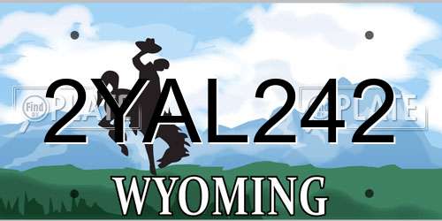 2YAL242 Wyoming License Plate