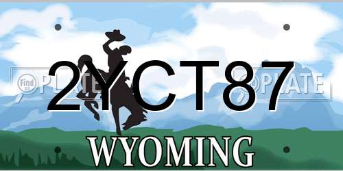 2YCT87 Wyoming License Plate